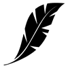 Icon Less Weight