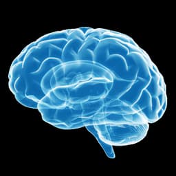Visualization of fine structures in the brain