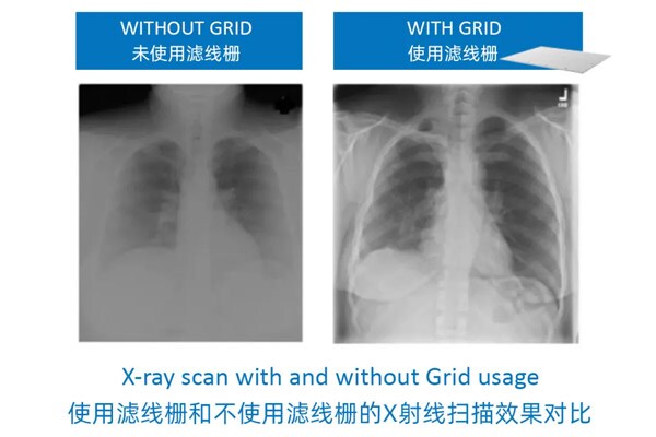走近当立丨全球视野之荷兰贝斯特 