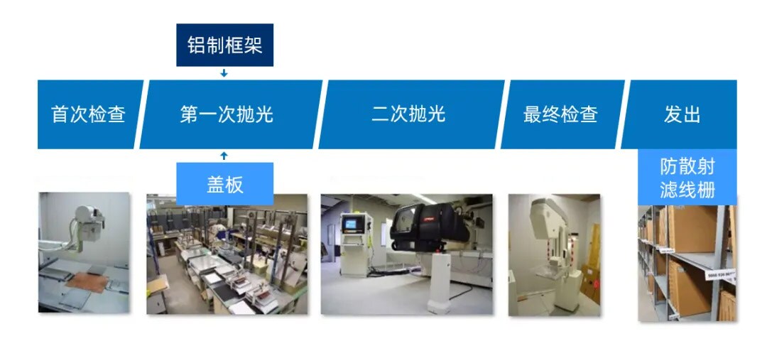 走近当立丨全球视野之荷兰贝斯特 