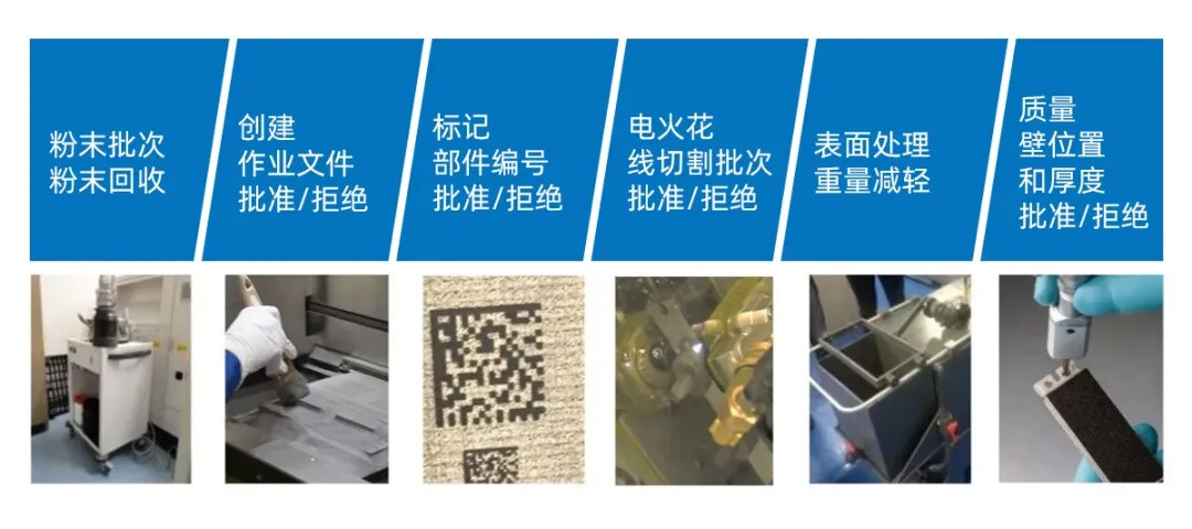 走近当立丨全球视野之荷兰贝斯特 
