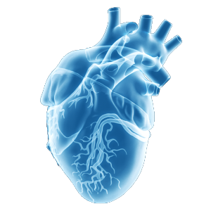 Cardiovascular imaging