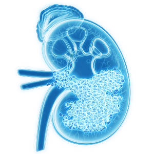 Characterization of cancer